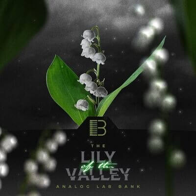 Brandon Chapa - Lily Of The Valley (Analog Lab Bank)